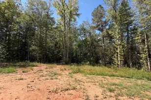1736 Armstrong Mill Rd, Franklin, GA 30217 - Photo 14