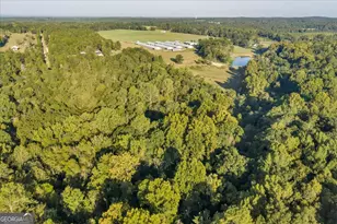 319 Pope Rd, Roberta, GA 31078 - Photo 48