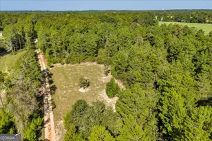 319 Pope Rd, Roberta, GA 31078 - Photo 72
