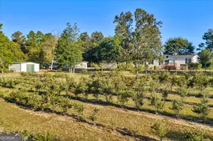 319 Pope Rd, Roberta, GA 31078 - Photo 58