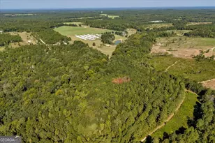319 Pope Rd, Roberta, GA 31078 - Photo 74