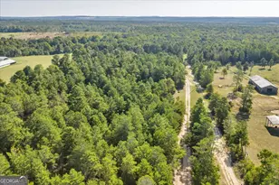 319 Pope Rd, Roberta, GA 31078 - Photo 42