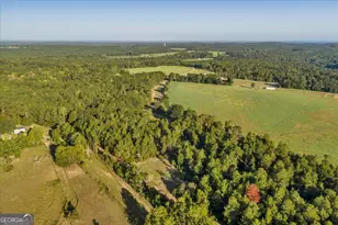 319 Pope Rd, Roberta, GA 31078 - Photo 52