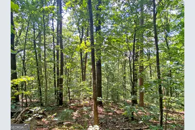 4.8Ac Sign Board Gap Road, Dahlonega, GA 30533 - Photo 6