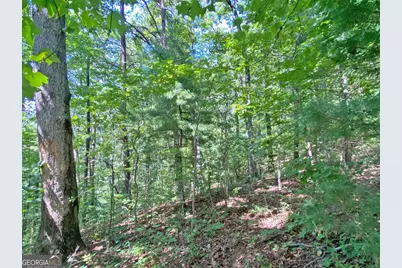 4.8Ac Sign Board Gap Road, Dahlonega, GA 30533 - Photo 8