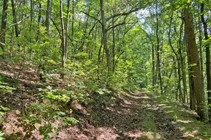 4 8Ac Sign Board Gap Rd, Dahlonega, GA 30533 - Photo 1