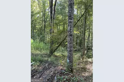 46 Creek Ridge, Winterville, GA 30683 - Photo 8
