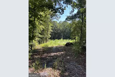 46 Creek Ridge, Winterville, GA 30683 - Photo 2