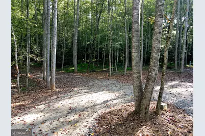 172 Boyd Hollow Drive, Blairsville, GA 30512 - Photo 6