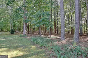 175 Donegal Dr, Tyrone, GA 30290 - Photo 116