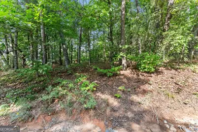 0 Duchess Lane #1005, Clarkesville, GA 30523 - Photo 16