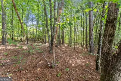 0 Duchess Lane #1005, Clarkesville, GA 30523 - Photo 18