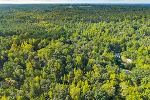 1250 Guinn Rd, Madison, GA 30650 - Photo 4