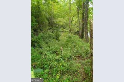 00 Marie #LOT 1800, Talking Rock, GA 30175 - Photo 1