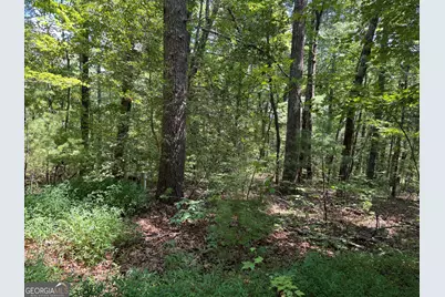 0 Baylaurel Drive, Helen, GA 30545 - Photo 2