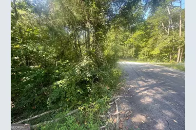 0 Apache Trail, Martin, GA 30557 - Photo 4