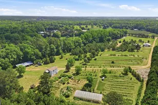 1465 Thurston Snow Rd, Good Hope, GA 30641 - Photo 20