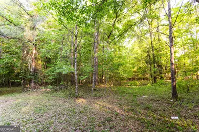2443 Hodges Farm Road, Mansfield, GA 30055 - Photo 32