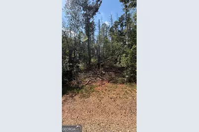 309 Seminole Trail, Martin, GA 30557 - Photo 2