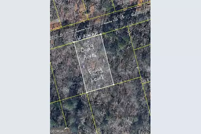 161 Apache Trail, Martin, GA 30557 - Photo 4