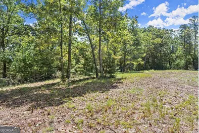 0 Helton Road, Cleveland, GA 30528 - Photo 16