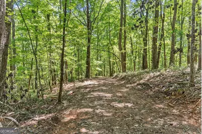 0 Helton Road, Cleveland, GA 30528 - Photo 32