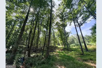 1620 Cross Plains Hulett Road, Carrollton, GA 30116 - Photo 2