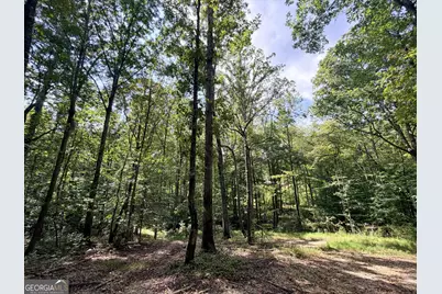 1620 Cross Plains Hulett Road, Carrollton, GA 30116 - Photo 32