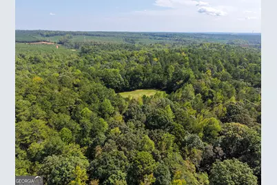 1620 Cross Plains Hulett Road, Carrollton, GA 30116 - Photo 62