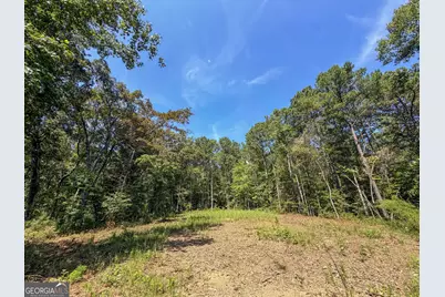 1620 Cross Plains Hulett Road, Carrollton, GA 30116 - Photo 86