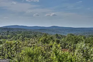 1072 Heatherwood Way, Talking Rock, GA 30175 - Photo 46