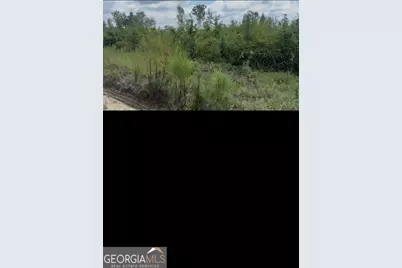 0 Peacock Crossing, Tennille, GA 31089 - Photo 1