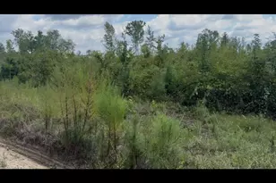 0 Peacock Crossing, Tennille, GA 31089 - Photo 1