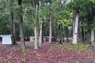 47 Providence Church Rd, Danielsville, GA 30633 - Photo 1