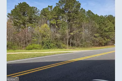 0 Bear Creek Boulevard #00, Hampton, GA 30228 - Photo 4