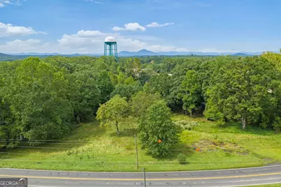 433 N Historic Highway 441, Demorest, GA 30535 - Photo 14