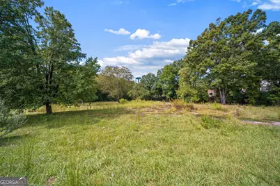 433 N Historic Highway 441, Demorest, GA 30535 - Photo 22
