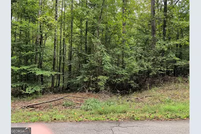 194 Tahoe Trail, Martin, GA 30557 - Photo 2