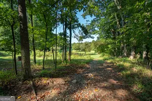 629 Crane Trail, Cleveland, GA 30528 - Photo 88