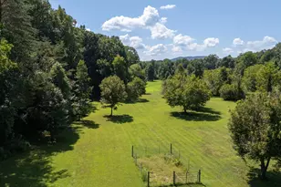 629 Crane Trail, Cleveland, GA 30528 - Photo 8