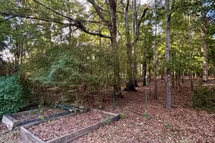 45 Cynthia Ct, Fayetteville, GA 30215 - Photo 42