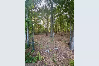 45 Cynthia Court, Fayetteville, GA 30215 - Photo 46