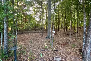 45 Cynthia Ct, Fayetteville, GA 30215 - Photo 46