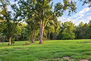 709 Bob Sharpe Rd, Vidalia, GA 30474 - Photo 4