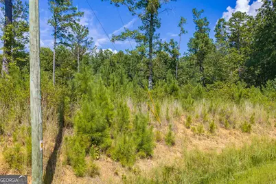 Lot 31 Freestone Street, Talking Rock, GA 30175 - Photo 12