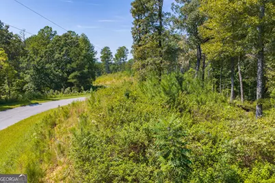 Lot 31 Freestone Street, Talking Rock, GA 30175 - Photo 4