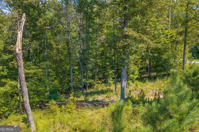Lot 31 Freestone Street, Talking Rock, GA 30175 - Photo 14