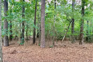 145 Kellett Rd NE, Rome, GA 30161 - Photo 46