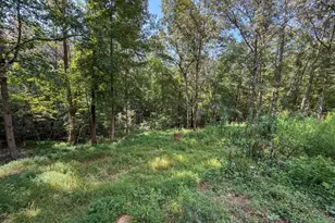 114 Funaro Ln, Dahlonega, GA 30533 - Photo 44