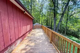 114 Funaro Ln, Dahlonega, GA 30533 - Photo 46
